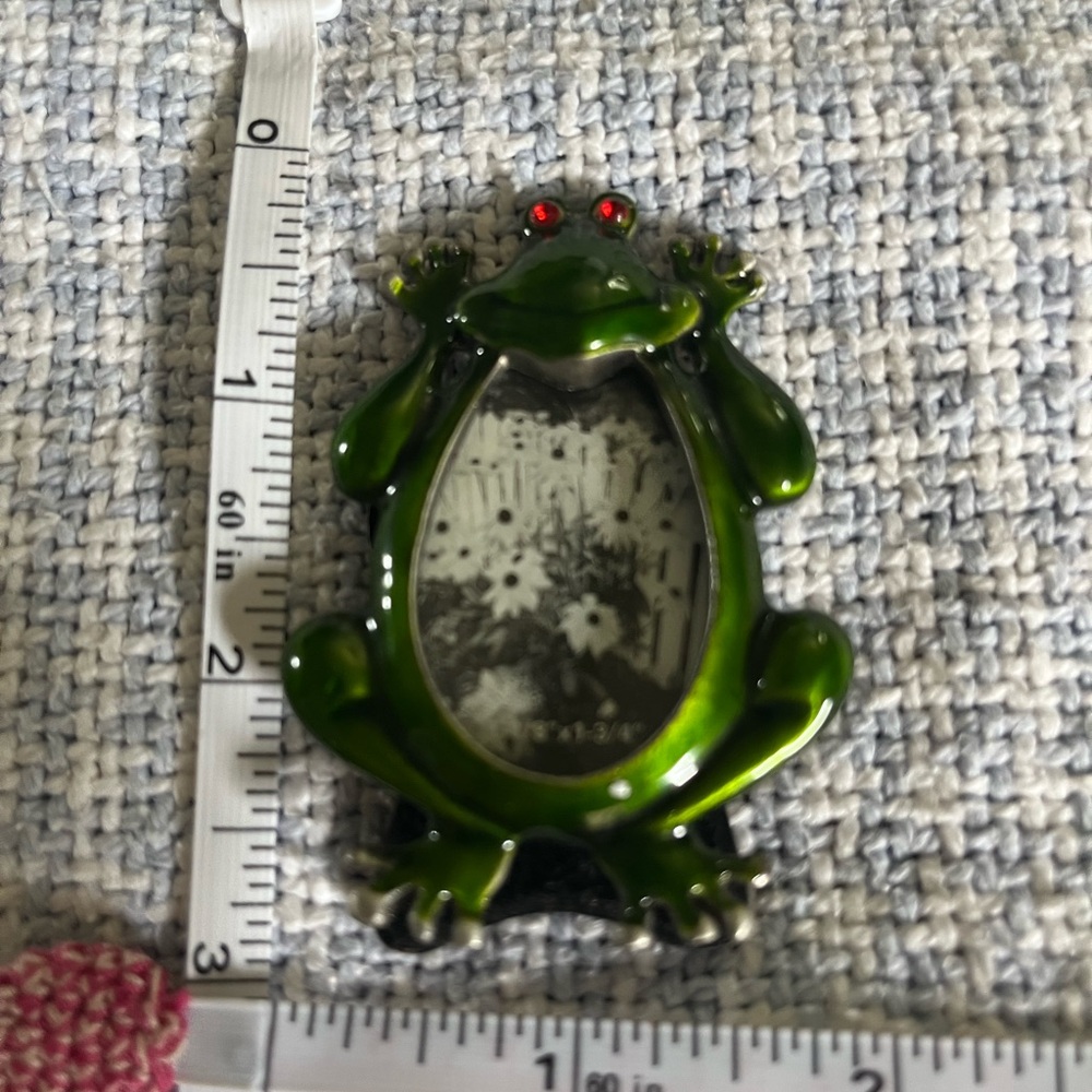 Miniature lacquered Green Frog w ruby eyes Photo Frame